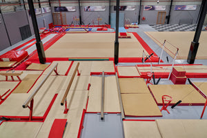 Gymnastics Image 1 - Level Up Gyms