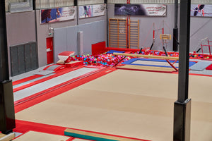 Gymnastics Image 2 - Level Up Gyms